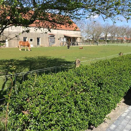 Vakantiewoningen De Schelp Renesse Ngoại thất bức ảnh