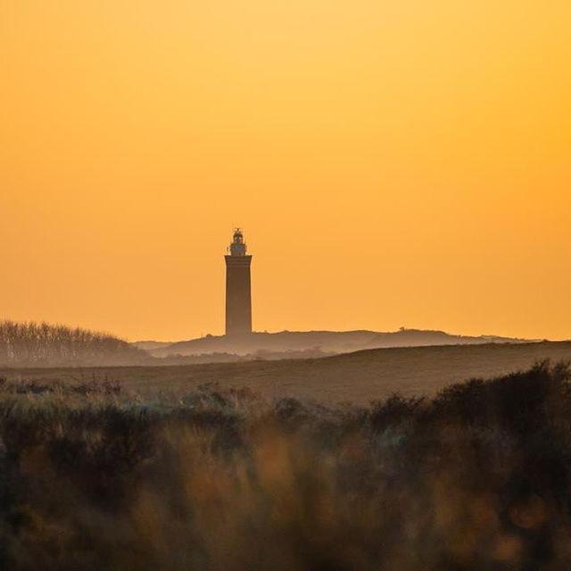 Vakantiewoningen De Schelp Renesse Ngoại thất bức ảnh