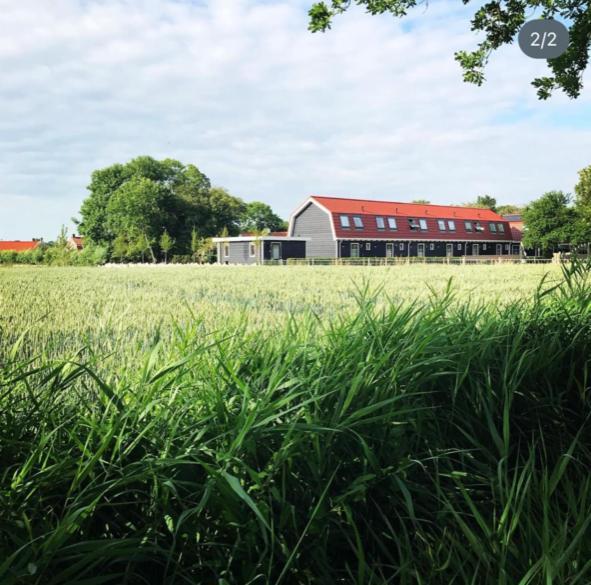 Vakantiewoningen De Schelp Renesse Ngoại thất bức ảnh