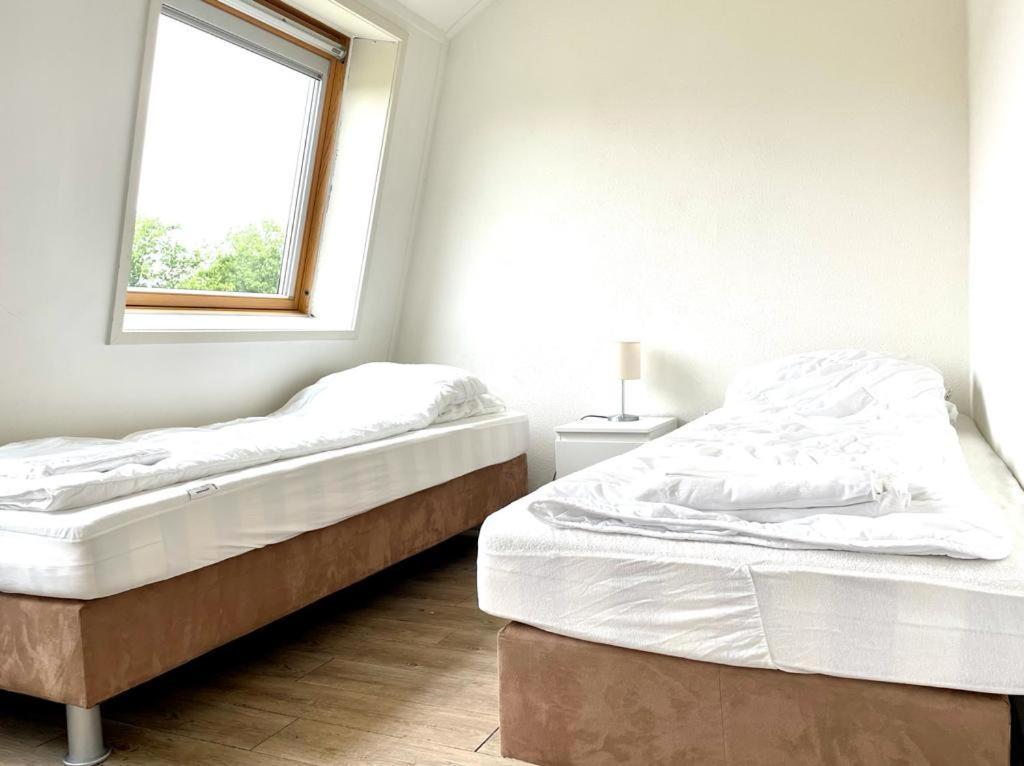 Vakantiewoningen De Schelp Renesse Ngoại thất bức ảnh