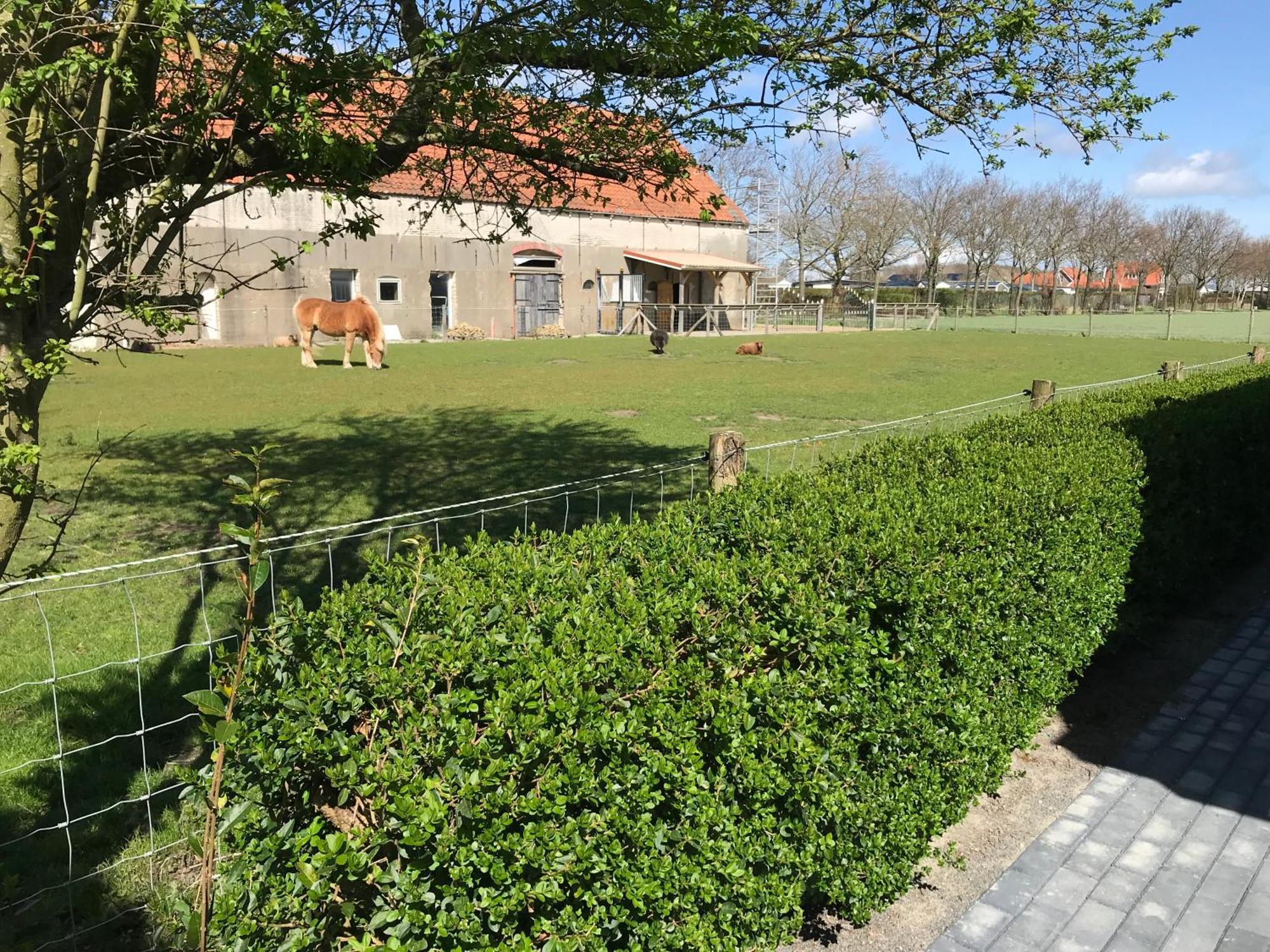 Vakantiewoningen De Schelp Renesse Ngoại thất bức ảnh